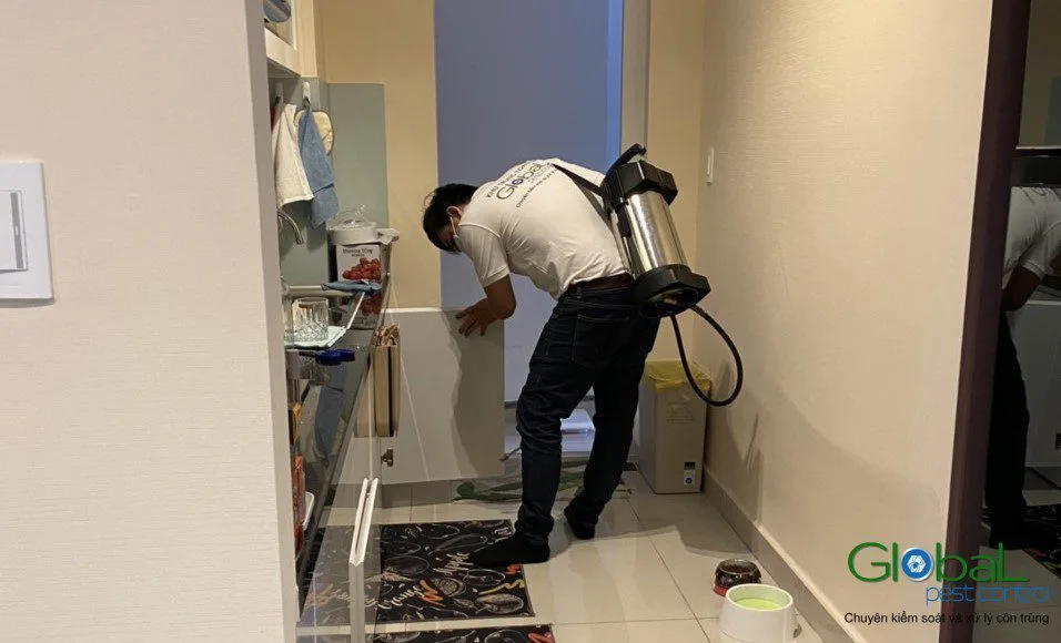 Nhà mới xây: côn trùng hay gặp và lúc nào nên xử lý