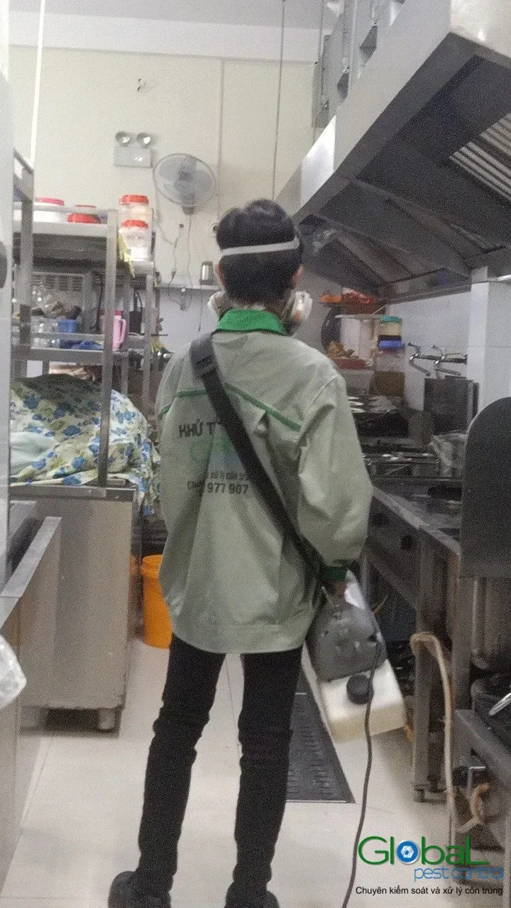 Pest Control Quận 7, Quận 8 cho toà nhà và chuỗi ăn uống