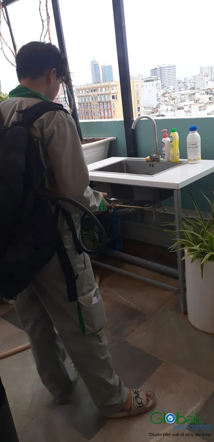 Kỹ thuật vi&ecirc;n phun thuốc quanh bồn rửa khu bếp tr&ecirc;n s&acirc;n thượng to&agrave; nh&agrave;