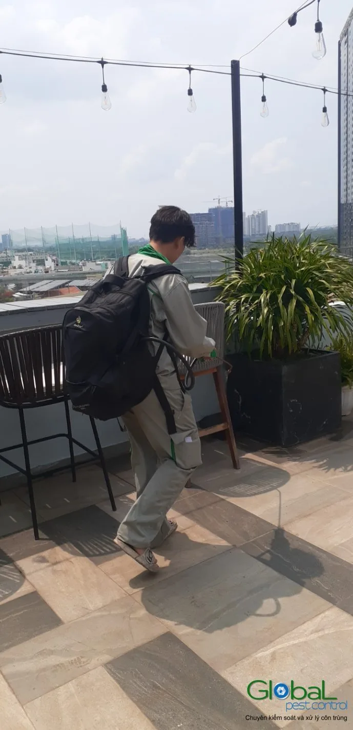 Pest Control Quận 9, Quận 10 cho cửa hàng và quán cafe