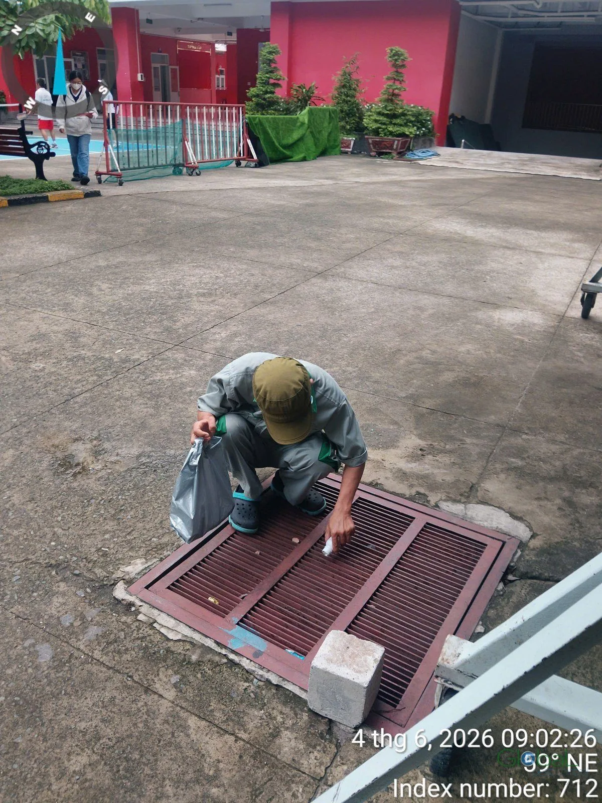 Gián Mỹ: nhận biết và xử lý ở khu ẩm, cống rãnh