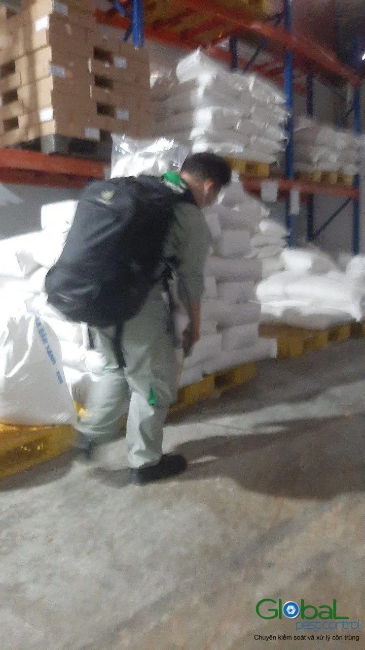 Kỹ thuật vi&ecirc;n phun thuốc diệt c&ocirc;n tr&ugrave;ng cạnh pallet bao nguy&ecirc;n liệu kho