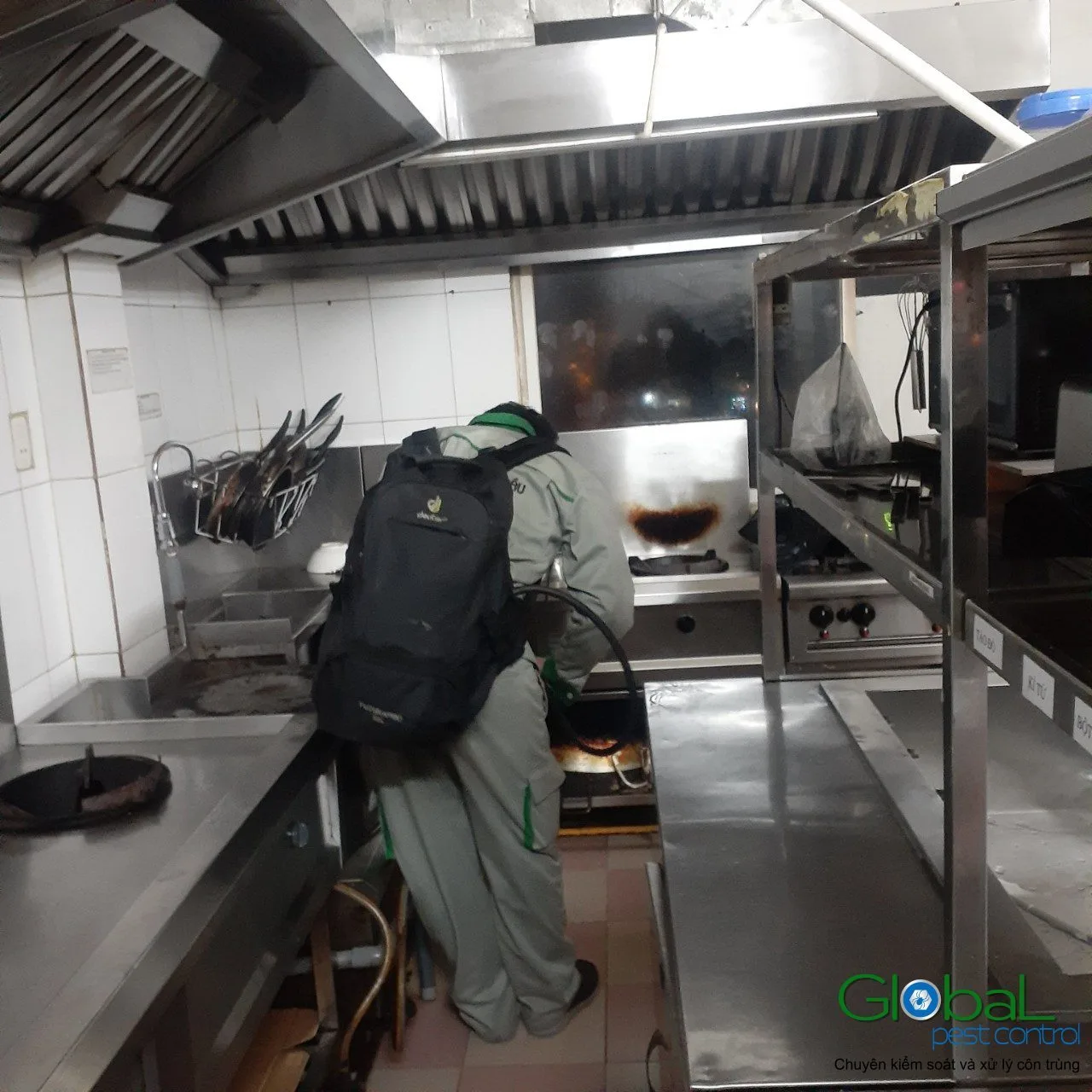 Pest Control Quận 3, Quận 4 cho quán ăn và cửa hàng