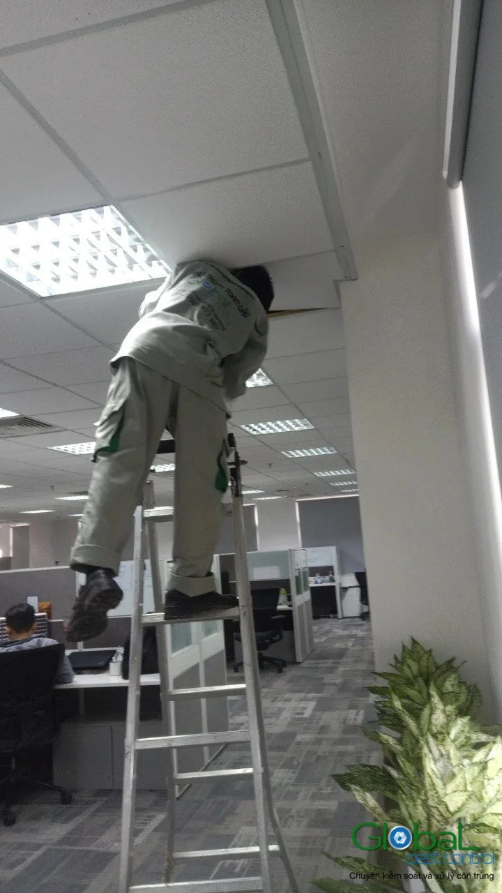 Pest Control Bình Thạnh, Phú Nhuận cho quán ăn và văn phòng