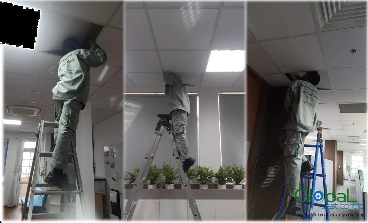 Kỹ thuật vi&ecirc;n đứng thang kiểm tra trần thạch cao, ph&ograve;ng m&aacute;y chủ xử l&yacute; chuột