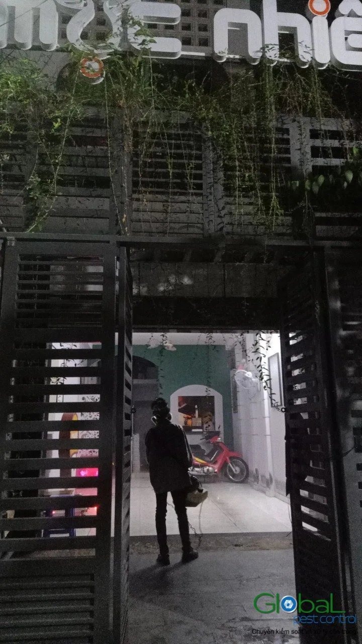 Khu ngoài trời phục vụ khách: lịch kiểm muỗi theo mùa