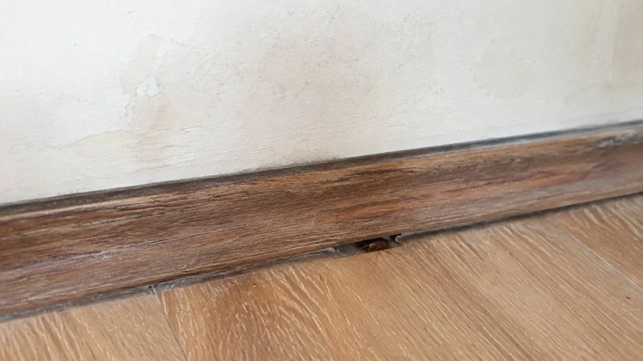 Gi&aacute;n b&ograve; tr&ecirc;n ch&acirc;n tường gỗ s&aacute;t s&agrave;n gỗ