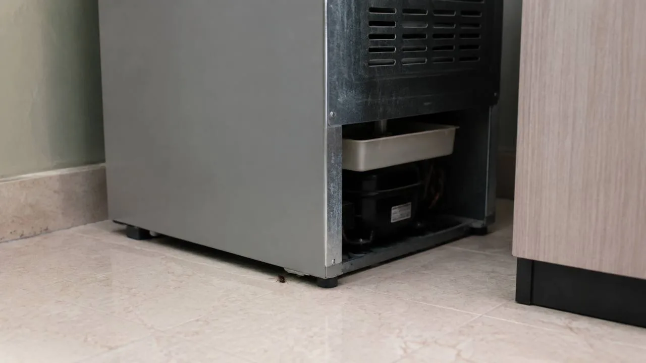 Gi&aacute;n b&ograve; dưới gầm tủ lạnh cạnh tủ bếp