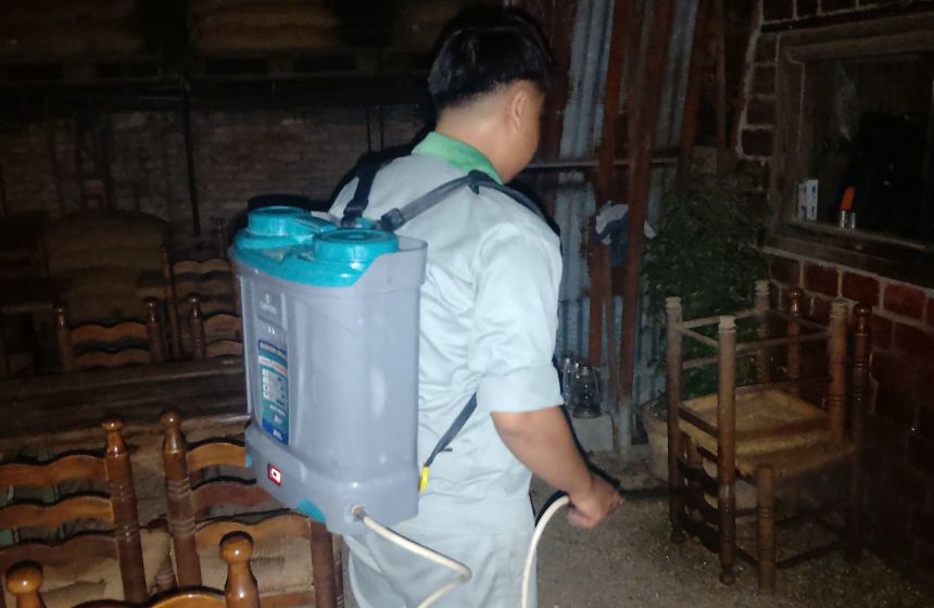 Khu pha chế và kho khô: chặn kiến trước khi thành ổ