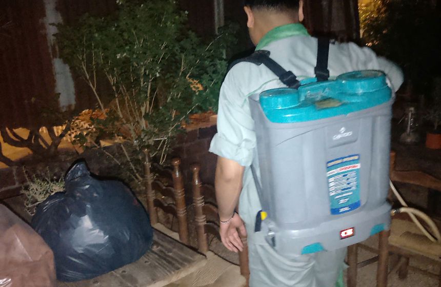 Kiểm soát gián cho quán bar và chuỗi cafe
