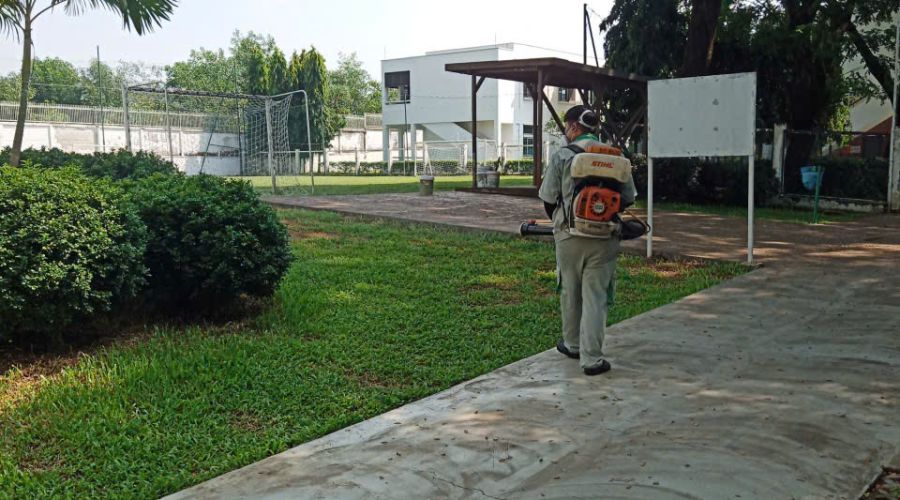 Xử lý côn trùng phần ngoại cảnh và mảng cây xanh quanh cơ sở