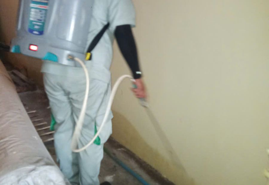 Kỹ thuật viên phun xử lý theo tuyến đã định trong khu sản xuất