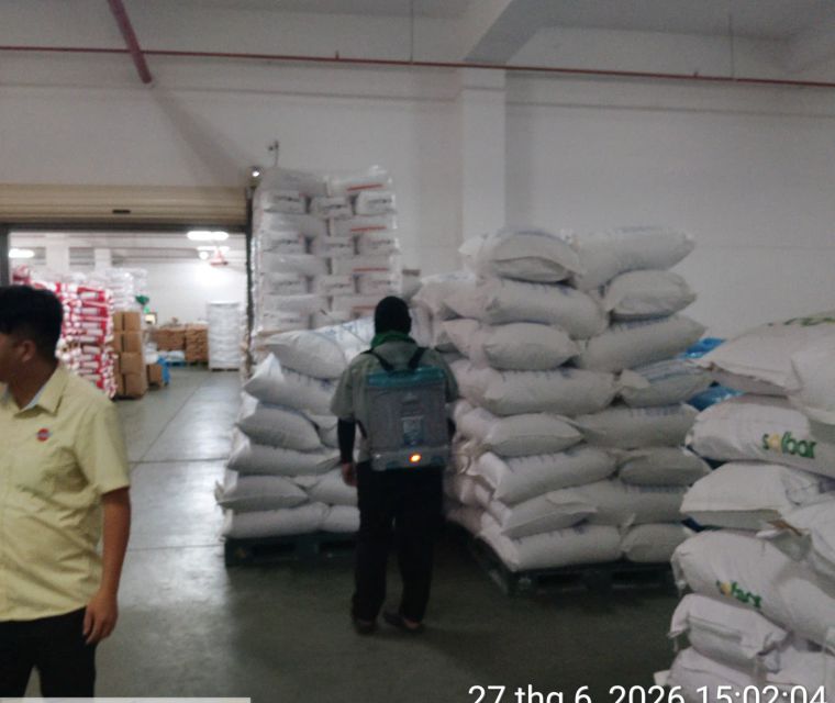 Xử lý côn trùng trong kho chứa bao hàng