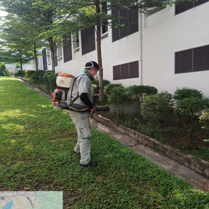 Xử lý côn trùng quanh nhà ở và mảng cây xanh