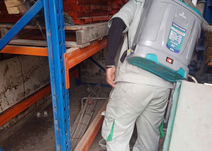 Xử lý côn trùng trên kệ hàng nhiều tầng