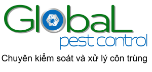 Dịch Vụ Pest Control — Khử Trùng Toàn Cầu