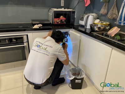 Làm thế nào để xử lý và diệt kiến ​​trong nhà bếp | Thông tin về Kiến