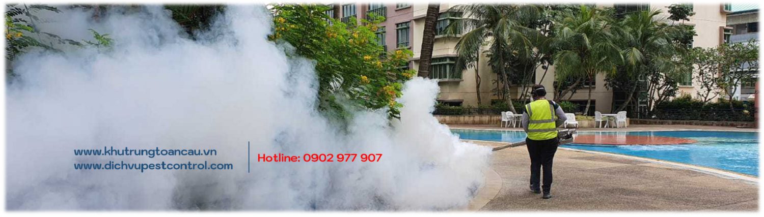 Dịch vụ xử lý và phun thuốc diệt Muỗi hiệu quả do Khử Trùng Toàn Cầu thực hiện