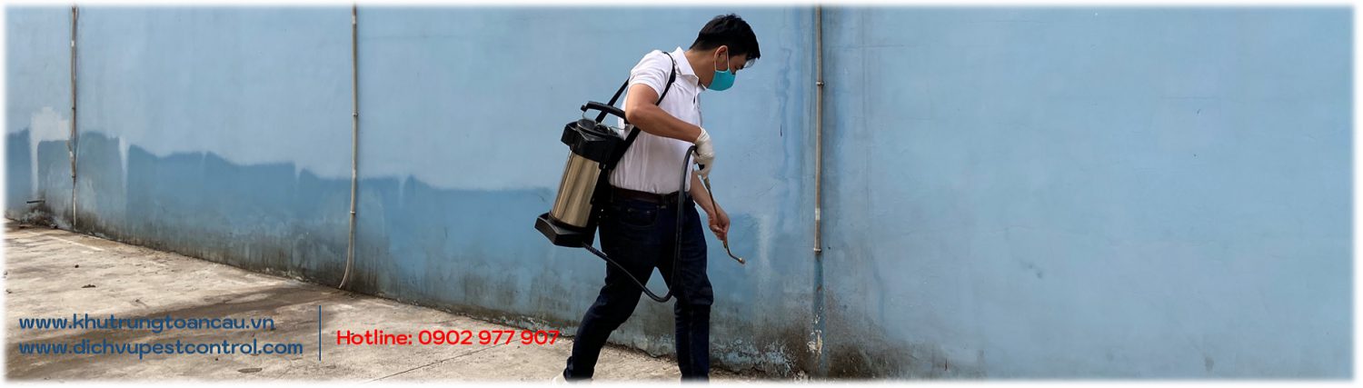 Quy trình thực hiện phun diệt Kiến cho khu vực cần xử lý