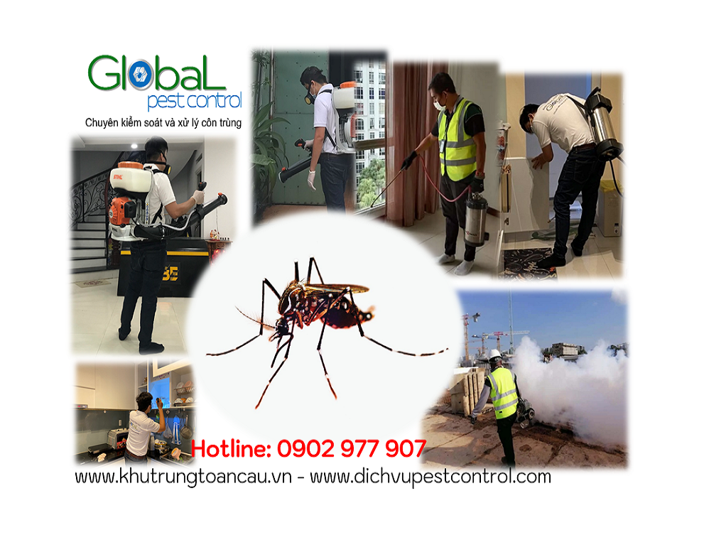 dịch vụ kiểm soát, xử lý, diệt muỗi, pest control