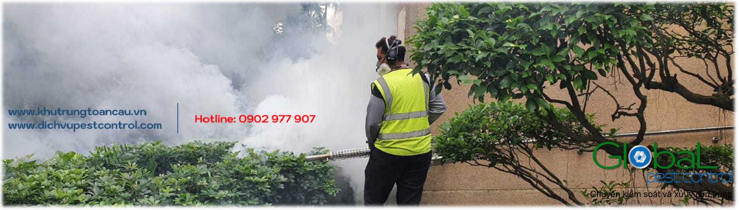 Giải pháp cá nhân hóa về dịch vụ pest control dành cho khách hàng khu vực Thủ Đức.