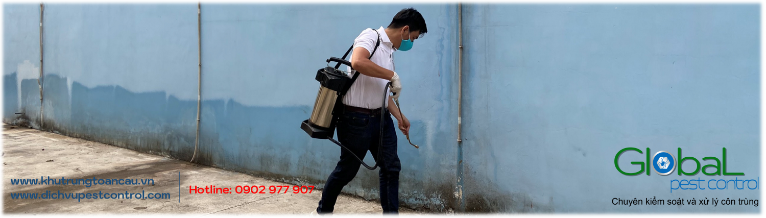 Khách hàng có quyền an tâm về chất lượng dịch vụ pest control tại TP. Hồ Chí Minh