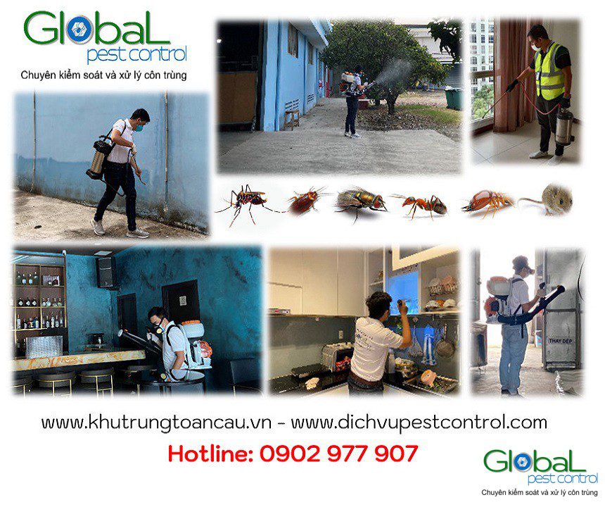 Dịch vụ Pest Control tại Khu công nghiệp – Diệt côn trùng tổng hợp