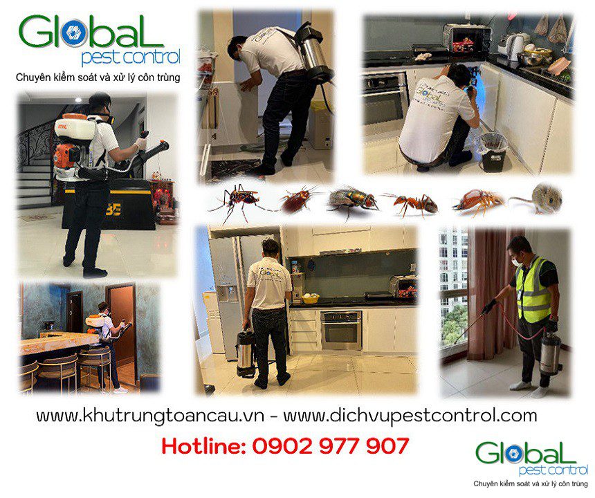 Dịch vụ Pest Control tại Quận 3, Quận 4 – Xử lý và diệt côn trùng tổng hợp