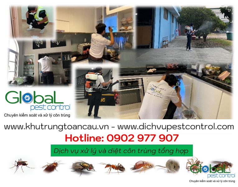 Dịch vụ diệt côn trùng tổng hợp