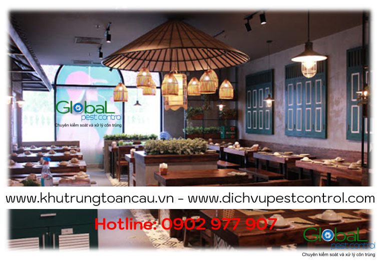 Dịch vụ xử lý và diệt Chuột cho Nhà hàng, Quán ăn tại Hồ Chí Minh
