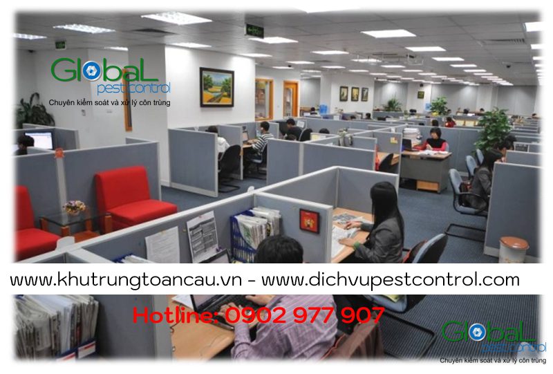 Dịch vụ xử lý và diệt Chuột cho Văn phòng, Tòa nhà tại Hồ Chí Minh