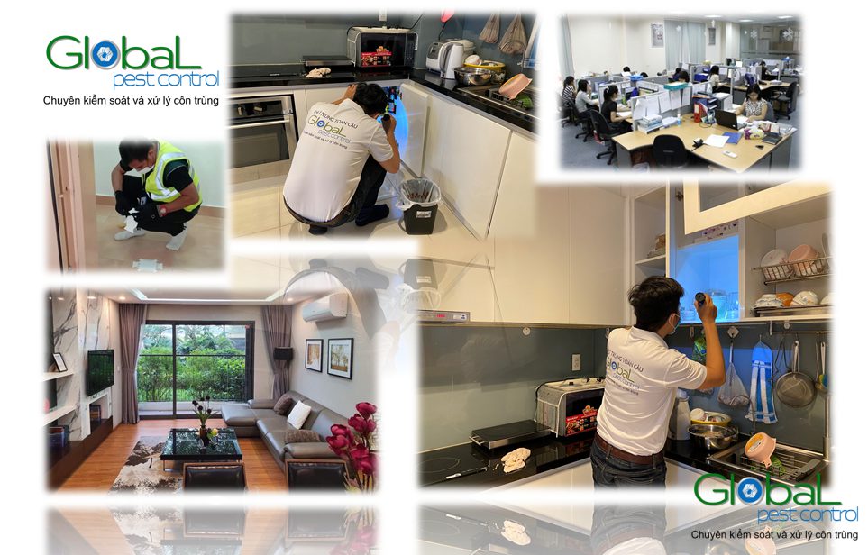 Dịch vụ Pest Control tại Quận 1, Quận 2 – Xử lý và diệt côn trùng tổng hợp